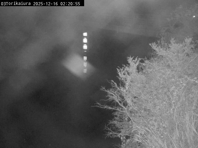 最新監視カメラ画像