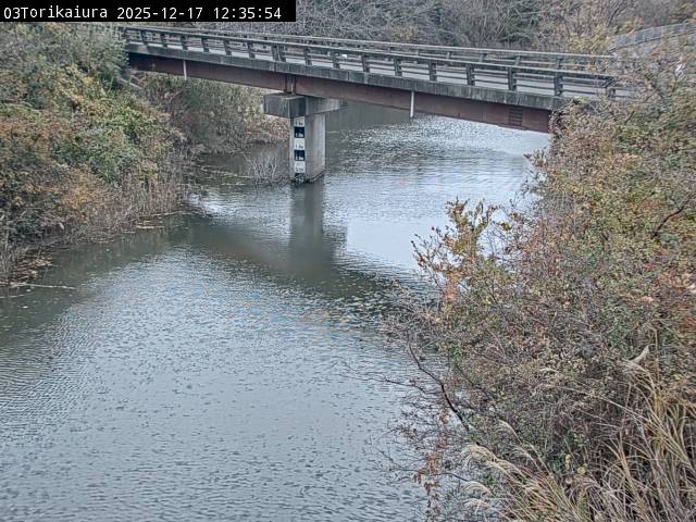 最新監視カメラ画像