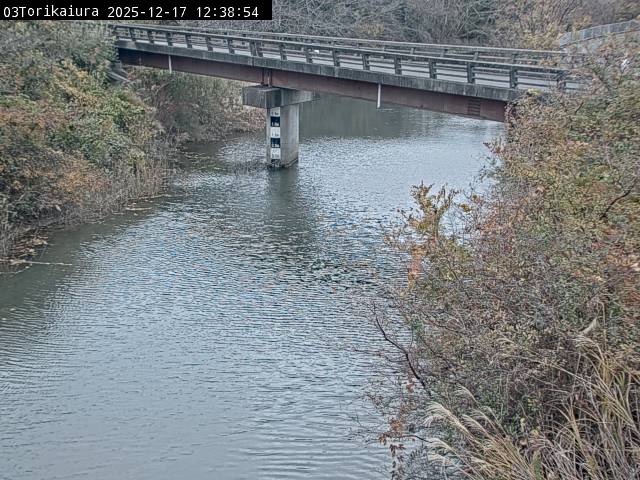 最新監視カメラ画像