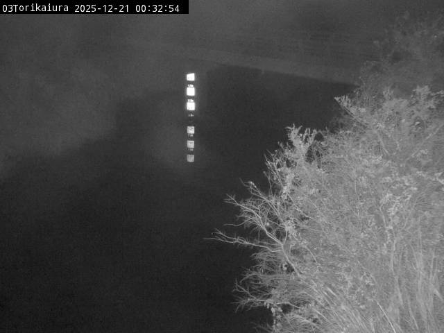 最新監視カメラ画像