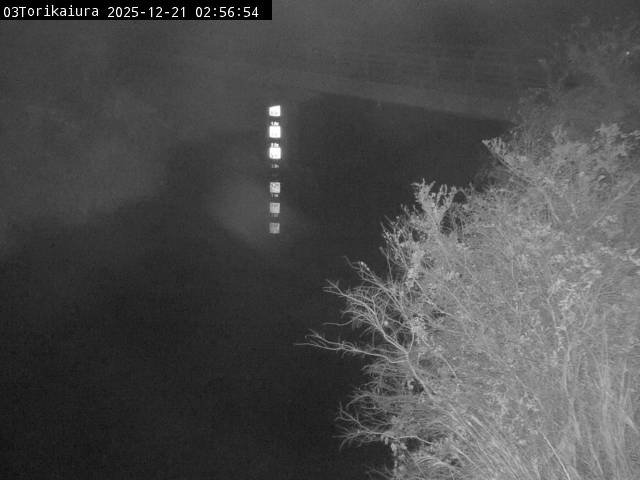 最新監視カメラ画像