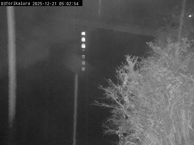 最新監視カメラ画像