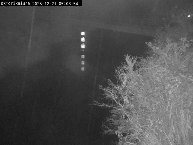 最新監視カメラ画像