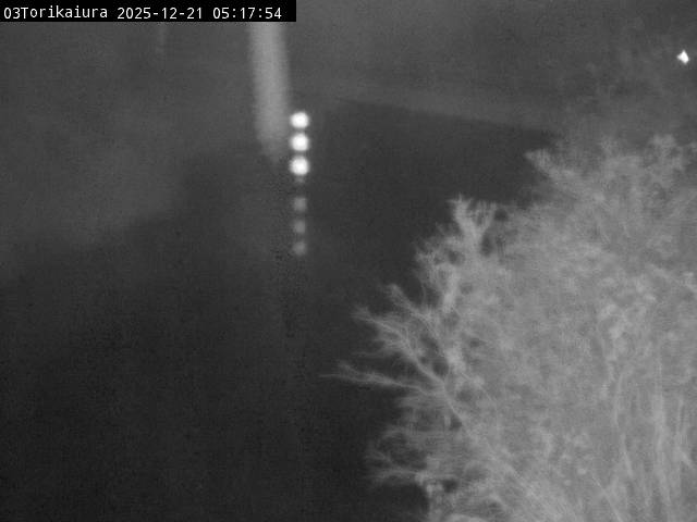 最新監視カメラ画像