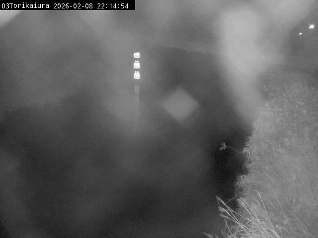 最新監視カメラ画像