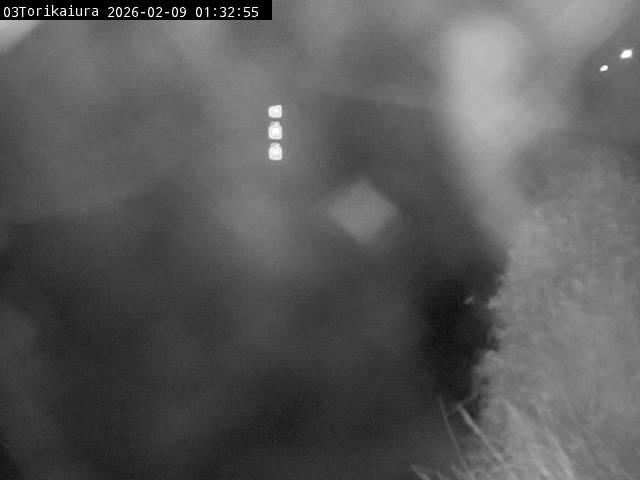 最新監視カメラ画像