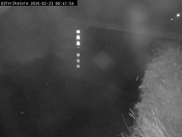 最新監視カメラ画像