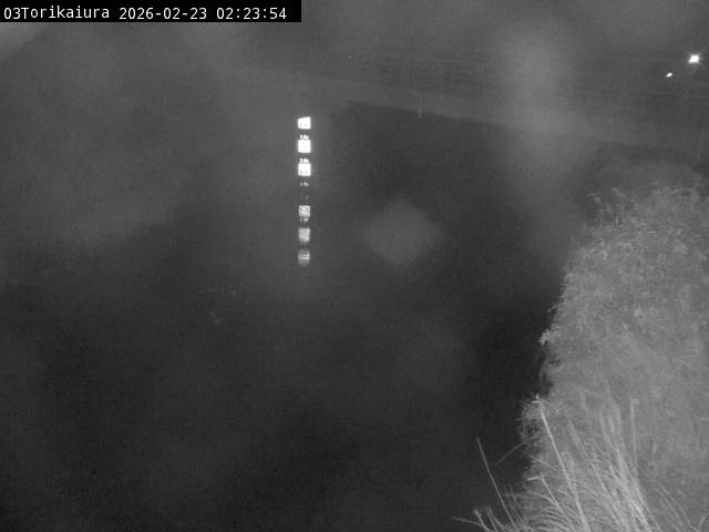 最新監視カメラ画像