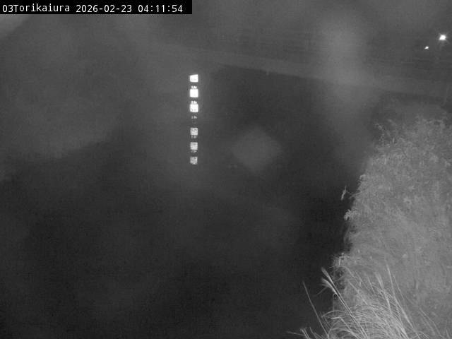 最新監視カメラ画像