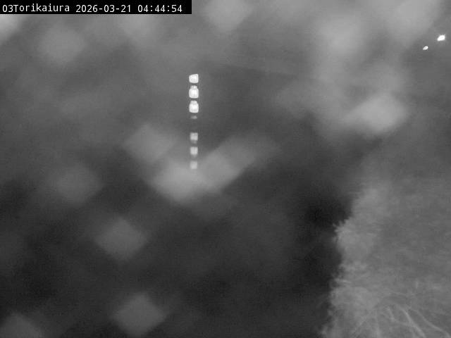 最新監視カメラ画像