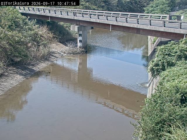 最新監視カメラ画像