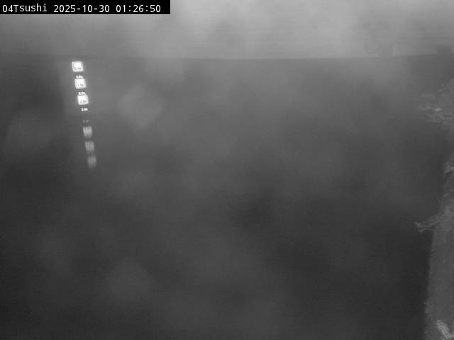 最新監視カメラ画像