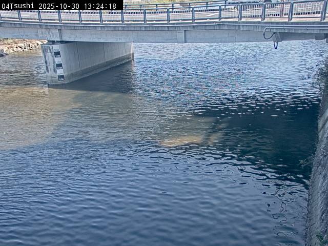 最新監視カメラ画像