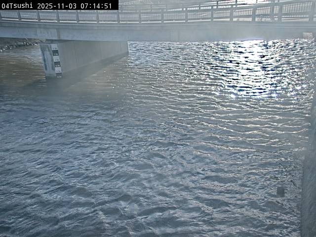 最新監視カメラ画像