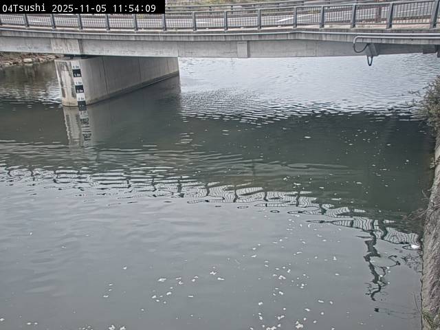 最新監視カメラ画像