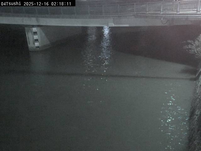 最新監視カメラ画像