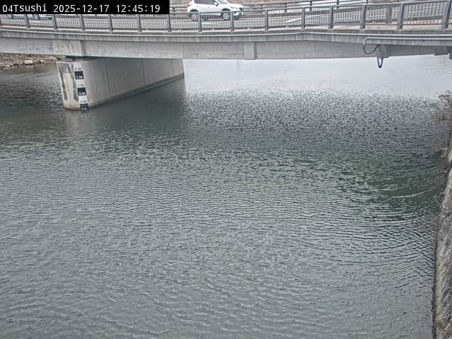 最新監視カメラ画像