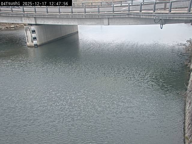 最新監視カメラ画像