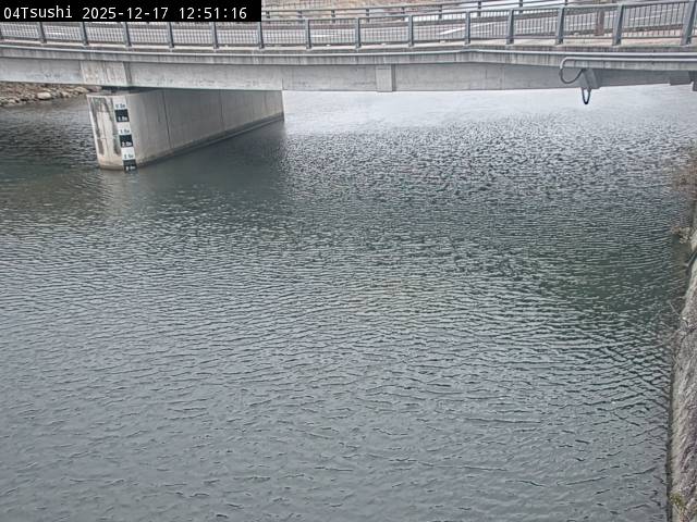 最新監視カメラ画像