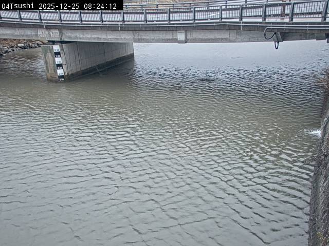 最新監視カメラ画像