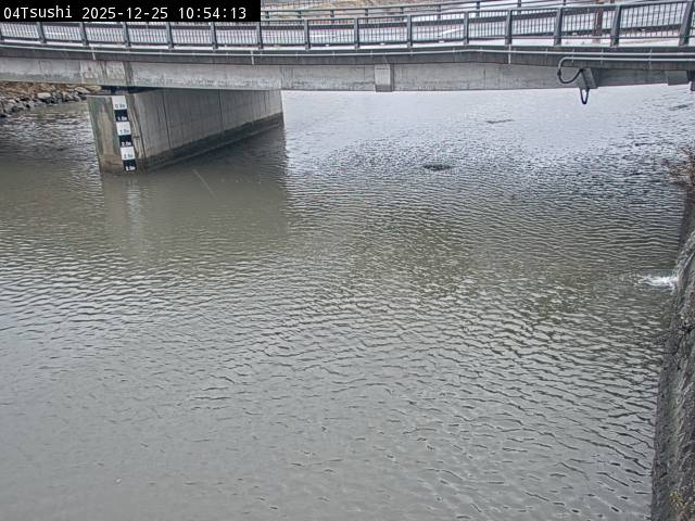 最新監視カメラ画像