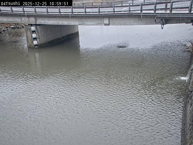 最新監視カメラ画像