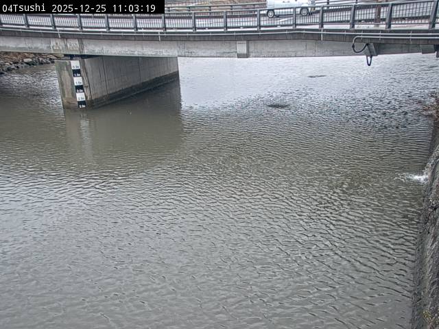 最新監視カメラ画像