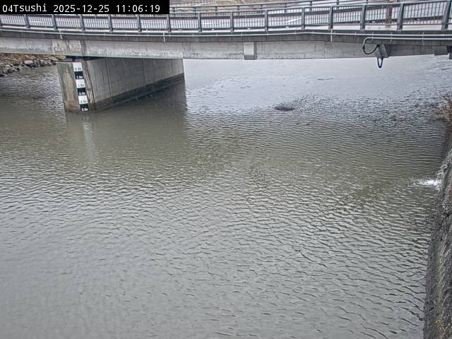 最新監視カメラ画像