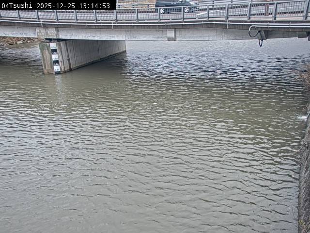 最新監視カメラ画像