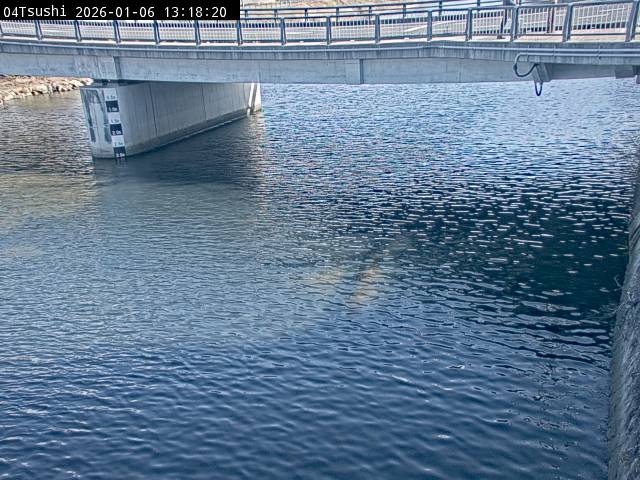 最新監視カメラ画像