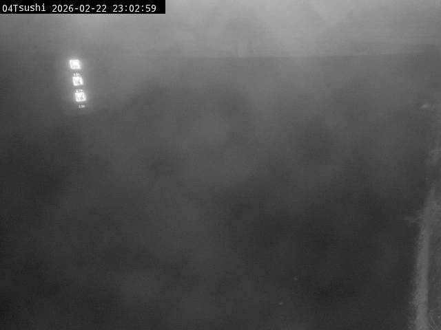 最新監視カメラ画像