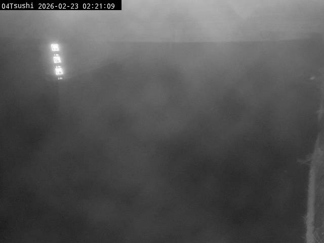 最新監視カメラ画像