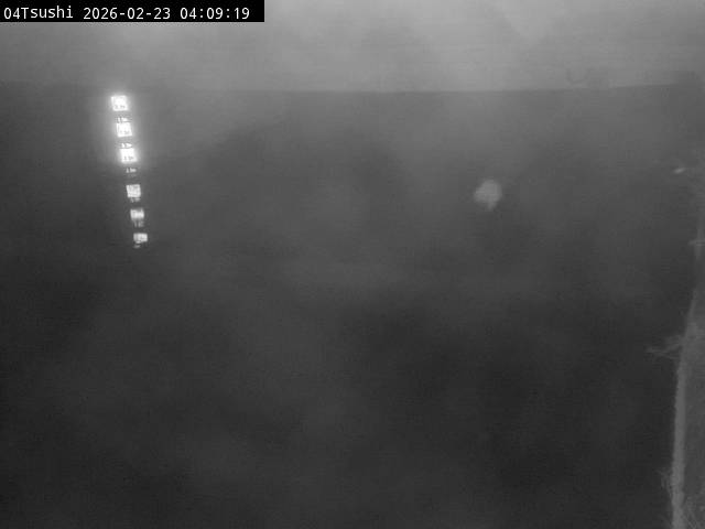 最新監視カメラ画像