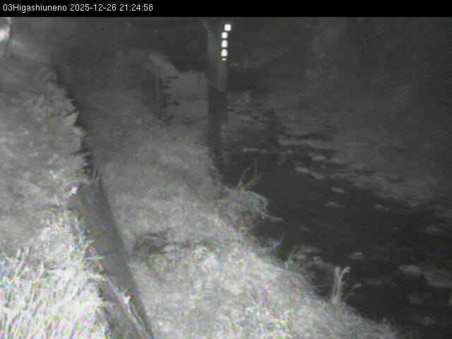 最新監視カメラ画像