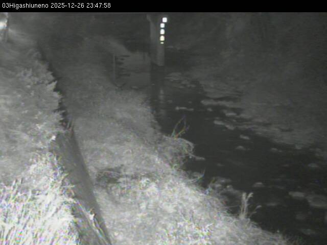 最新監視カメラ画像