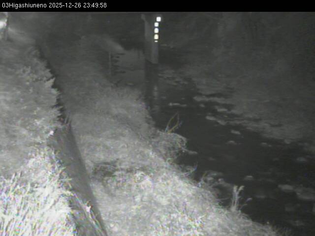 最新監視カメラ画像