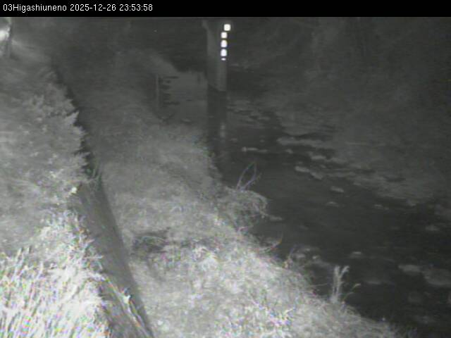 最新監視カメラ画像