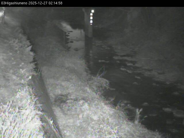 最新監視カメラ画像