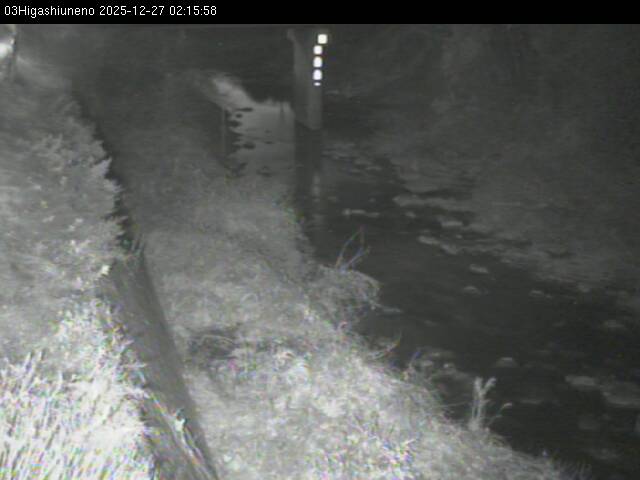 最新監視カメラ画像