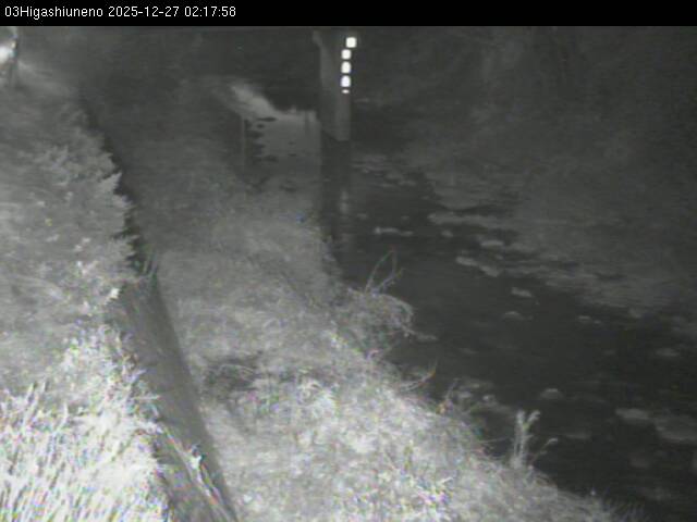 最新監視カメラ画像