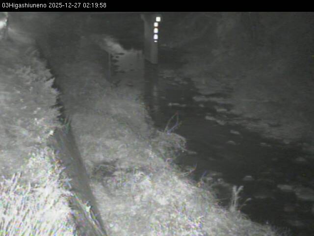 最新監視カメラ画像