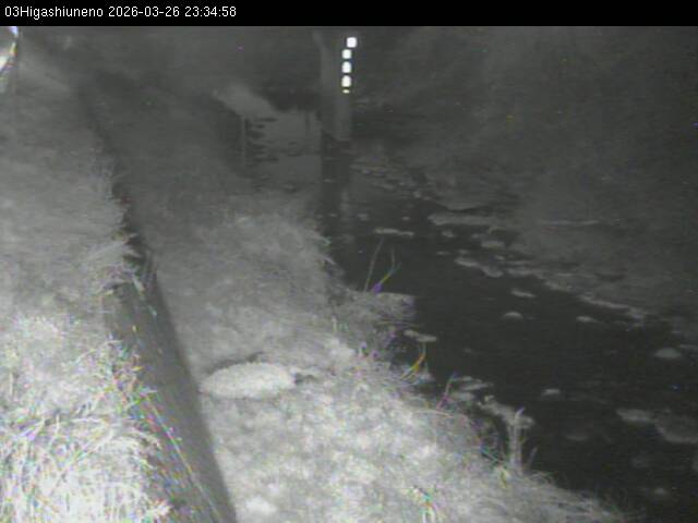 最新監視カメラ画像