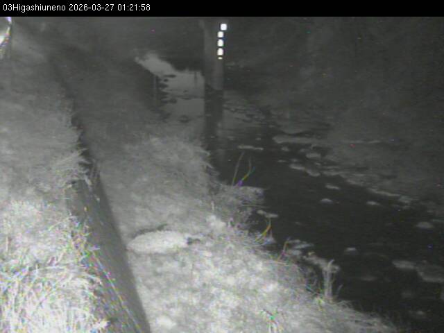 最新監視カメラ画像