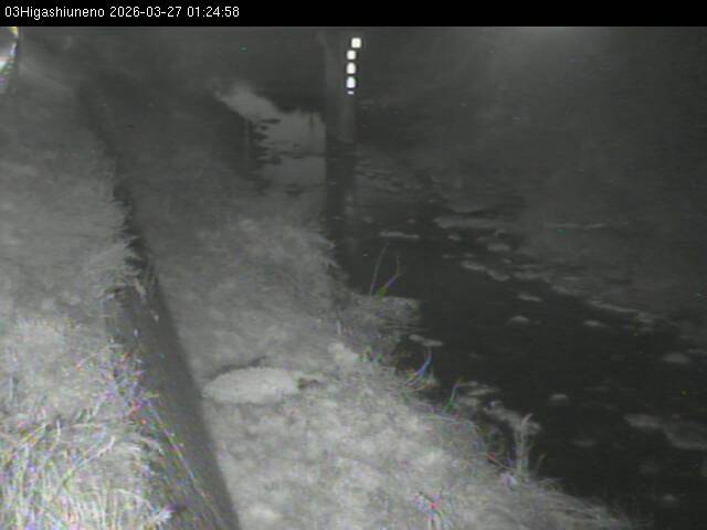 最新監視カメラ画像