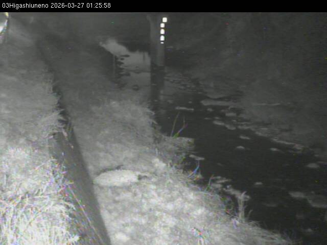 最新監視カメラ画像