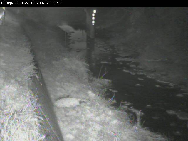 最新監視カメラ画像