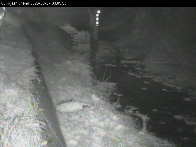 最新監視カメラ画像