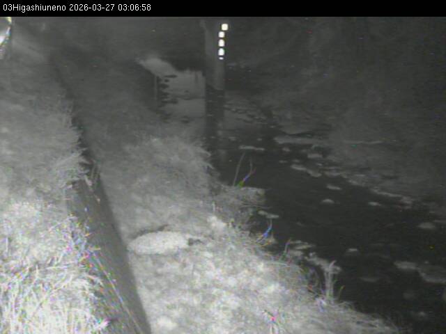 最新監視カメラ画像