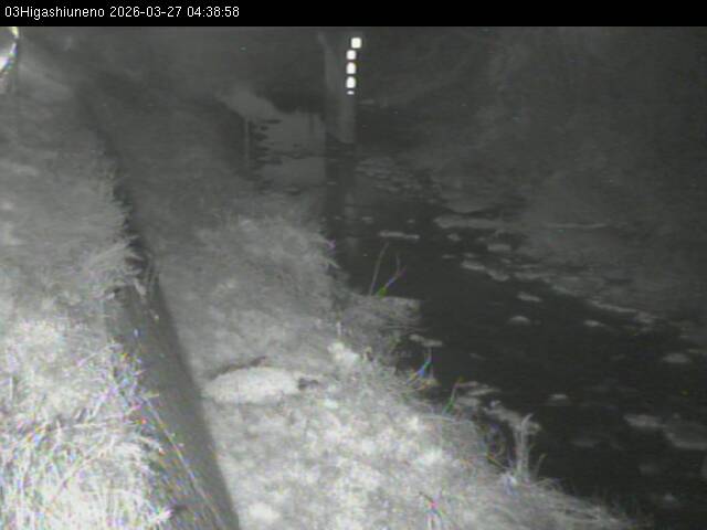 最新監視カメラ画像