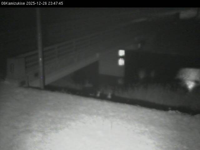 最新監視カメラ画像